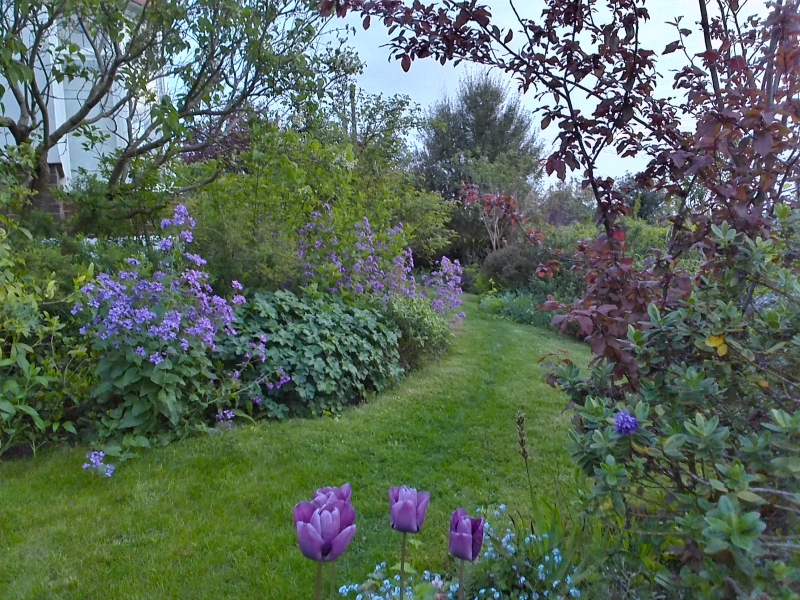 Forest Hill Garden Group